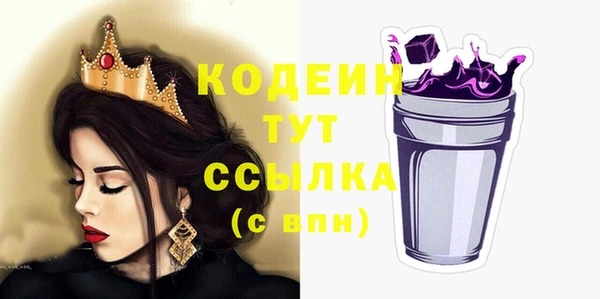 хмурый Туринск
