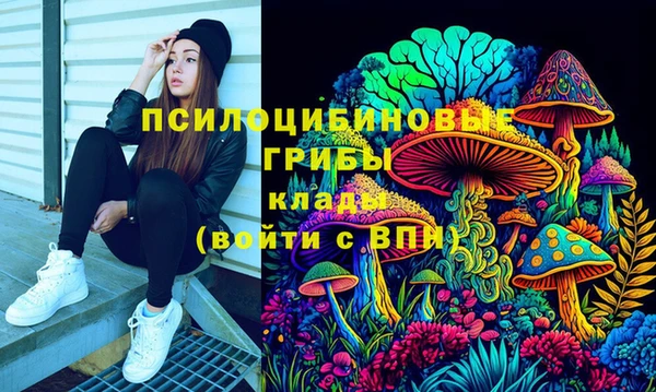 хмурый Туринск