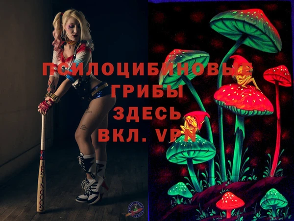 хмурый Туринск