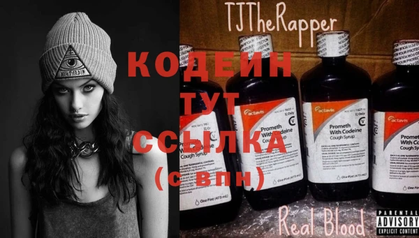 хмурый Туринск