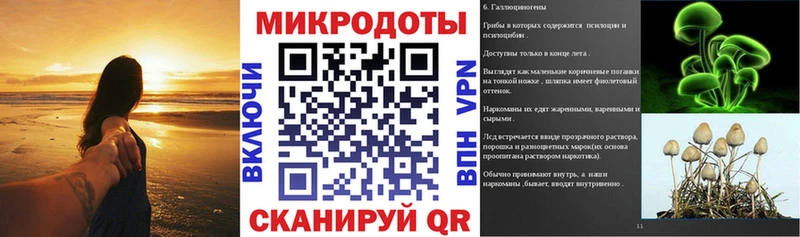 Псилоцибиновые грибы MAGIC MUSHROOMS  Купить закладки  Теберда 